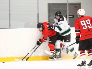 28.01.2026. Лига Заводов. Пневмостроймашина - УЭХК