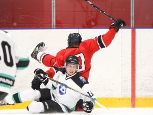 28.01.2026. Лига Заводов. Пневмостроймашина - УЭХК