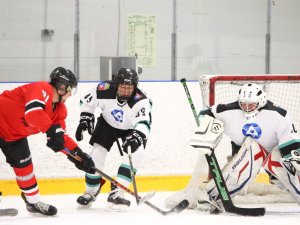 28.01.2026. Лига Заводов. Пневмостроймашина - УЭХК