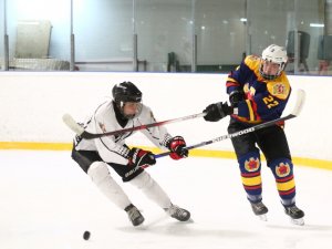 31.01.2026. Лига Заводов. Титан - Трубпром