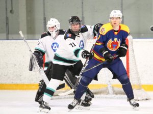 20.02.2026. Лига Заводов. Титан - УЭХК