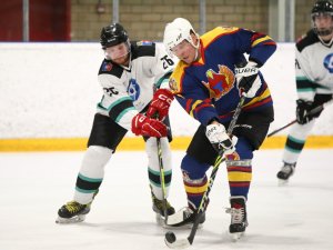 20.02.2026. Лига Заводов. Титан - УЭХК