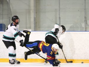 20.02.2026. Лига Заводов. Титан - УЭХК