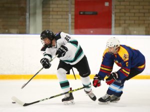 20.02.2026. Лига Заводов. Титан - УЭХК