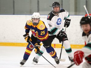 20.02.2026. Лига Заводов. Титан - УЭХК