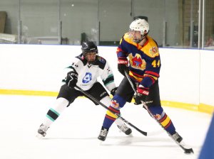 20.02.2026. Лига Заводов. Титан - УЭХК