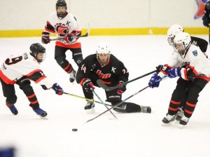 05.03.2026. Золотая шайба. Финал. Матч "Луч-11" - "Горняк-11"