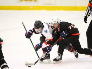 05.03.2026. Золотая шайба. Финал. Матч "Луч-11" - "Горняк-11"