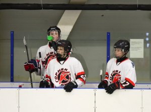 05.03.2026. Золотая шайба. Финал. Матч "Луч-11" - "Горняк-11"