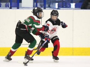 18.03.2026. Золотая шайба. Матч "Малахит-13" - "Юниор-13"