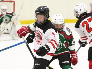 18.03.2026. Золотая шайба. Матч "Малахит-13" - "Юниор-13"