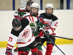 18.03.2026. Золотая шайба. Матч "Малахит-13" - "Юниор-13"