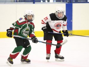 18.03.2026. Золотая шайба. Матч "Малахит-13" - "Юниор-13"