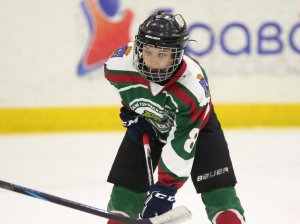 18.03.2026. Золотая шайба. Матч "Малахит-13" - "Юниор-13"