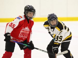 18.03.2026 Золотая Шайба. Матч "Уралец-13" - "Молния-13"