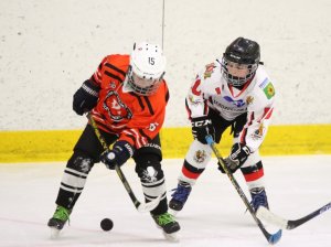 24.03.2026. Золотая шайба. Финал "Ракета-15" - "Феникс-15".