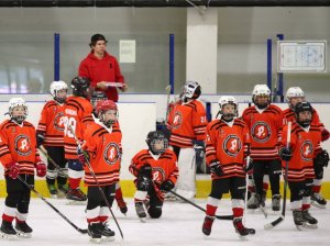 24.03.2026. Золотая шайба. Финал "Ракета-15" - "Феникс-15".