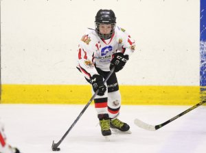 24.03.2026. Золотая шайба. Финал "Ракета-15" - "Феникс-15".