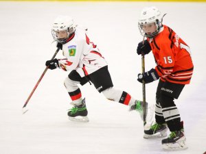 24.03.2026. Золотая шайба. Финал "Ракета-15" - "Феникс-15".