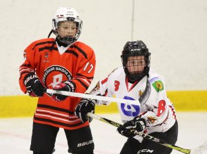 24.03.2026. Золотая шайба. Финал "Ракета-15" - "Феникс-15".