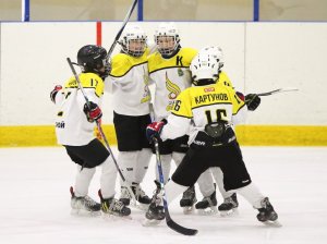 24.03.2026. Золотая шайба. Финал. "Металлург" Н.Салда - "Факел" Лесной