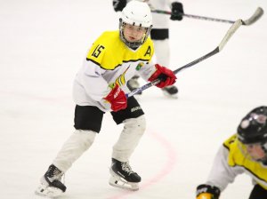 24.03.2026. Золотая шайба. Финал. "Металлург" Н.Салда - "Факел" Лесной