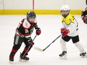 24.03.2026. Золотая шайба. Финал. "Металлург" Н.Салда - "Факел" Лесной