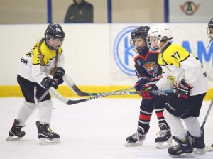 24.03.2026. Золотая шайба. Финал. "Металлург" Н.Салда - "Факел" Лесной