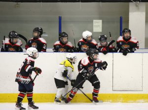 24.03.2026. Золотая шайба. Финал. "Металлург" Н.Салда - "Факел" Лесной