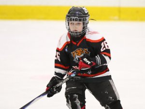 24.03.2026. Золотая шайба. Финал. "Металлург" Н.Салда - "Факел" Лесной