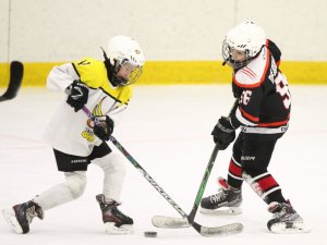 24.03.2026. Золотая шайба. Финал. "Металлург" Н.Салда - "Факел" Лесной