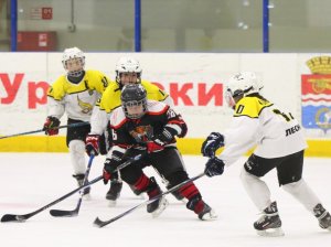 24.03.2026. Золотая шайба. Финал. "Металлург" Н.Салда - "Факел" Лесной