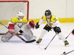 24.03.2026. Золотая шайба. Финал. "Металлург" Н.Салда - "Факел" Лесной