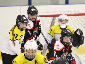 24.03.2026. Золотая шайба. Финал. "Металлург" Н.Салда - "Факел" Лесной