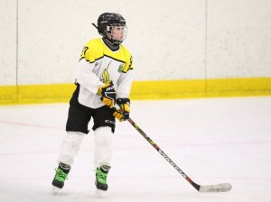 24.03.2026. Золотая шайба. Финал. "Металлург" Н.Салда - "Факел" Лесной