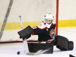 24.03.2026. Золотая шайба. Финал. "Металлург" Н.Салда - "Факел" Лесной