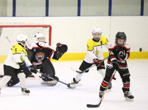 24.03.2026. Золотая шайба. Финал. "Металлург" Н.Салда - "Факел" Лесной