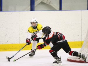 24.03.2026. Золотая шайба. Финал. "Металлург" Н.Салда - "Факел" Лесной