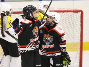 24.03.2026. Золотая шайба. Финал. "Металлург" Н.Салда - "Факел" Лесной