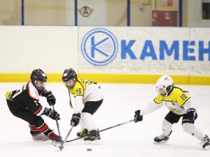 24.03.2026. Золотая шайба. Финал. "Металлург" Н.Салда - "Факел" Лесной