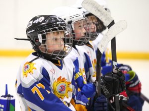 19.04.2026. Золотая шайба. Финал 2017. Рефтинский