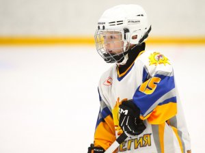 19.04.2026. Золотая шайба. Финал 2017. Рефтинский