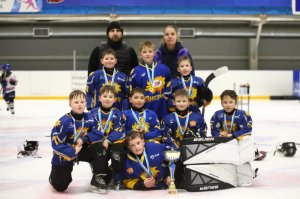 19.04.2026. Золотая шайба. Финал 2017. Рефтинский