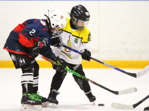 19.04.2026. Золотая шайба. Финал 2017. Рефтинский