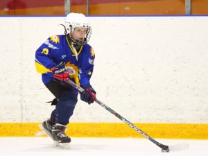 19.04.2026. Золотая шайба. Финал 2017. Рефтинский