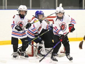 19.04.2026. Золотая шайба. Финал 2017. Рефтинский