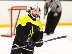 19.04.2026. Золотая шайба. Финал 2017. Рефтинский