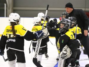 19.04.2026. Золотая шайба. Финал 2017. Рефтинский