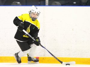 19.04.2026. Золотая шайба. Финал 2017. Рефтинский