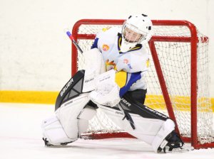 19.04.2026. Золотая шайба. Финал 2017. Рефтинский